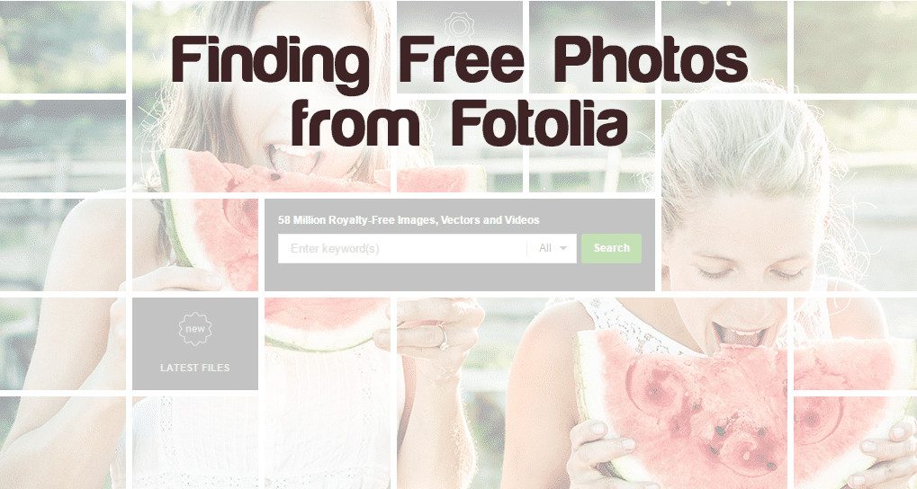  Kust ma saan Fotolia tasuta fotosid leida?