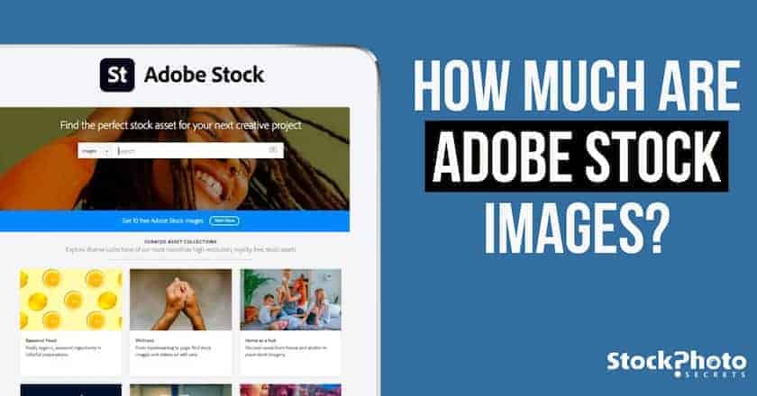  Quanto costano le immagini Adobe Stock? Prezzi di Adobe Stock: tutte le domande hanno trovato risposta!